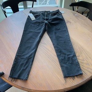 Aritzia, The Yoko High Rise Skinny, Size 30W